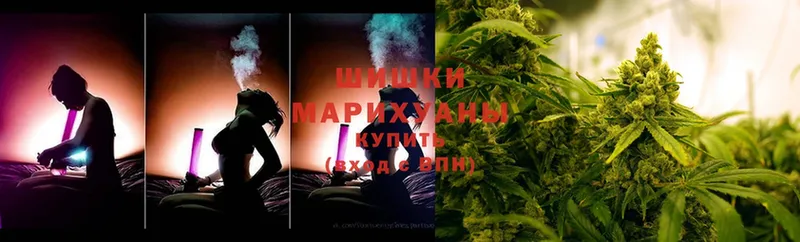 магазин продажи наркотиков  Юрьев-Польский  Шишки марихуана SATIVA & INDICA 